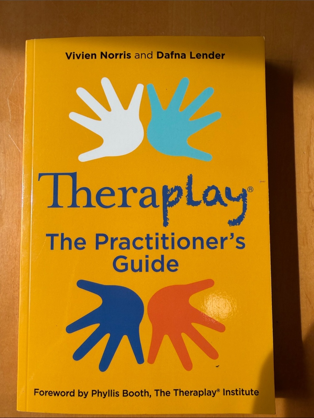 Theraplay The Practitioner's Guide